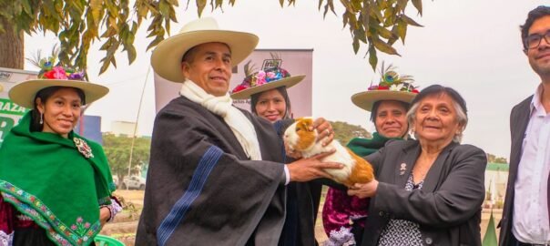 Convención Internacional Cuyícola impulsa la producción de cuyes en el Perú