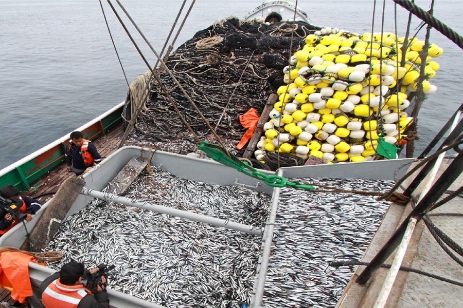 Importancia de la gestión ambiental en la pesca